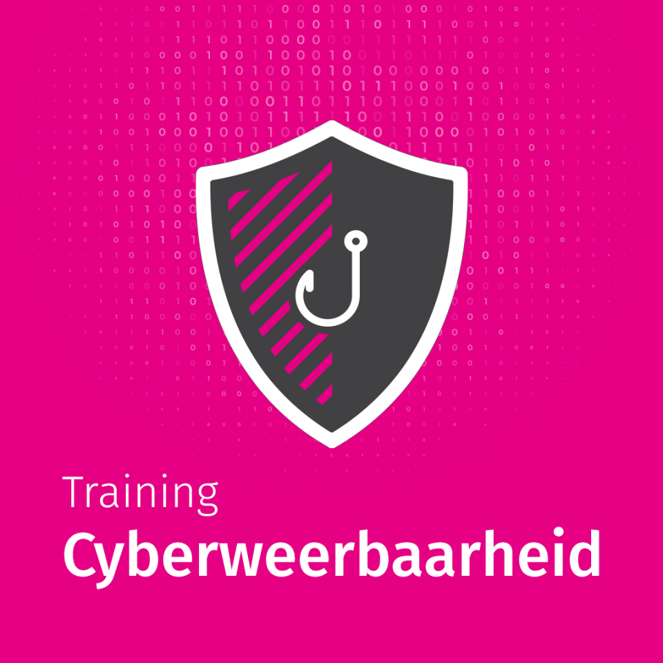 Weerbaar tegen cyber­criminaliteit