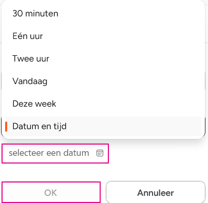 Tijdelijke status instellen Xelion 04